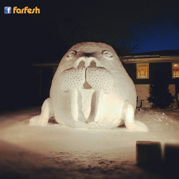 ��� ����� ����� �� ���