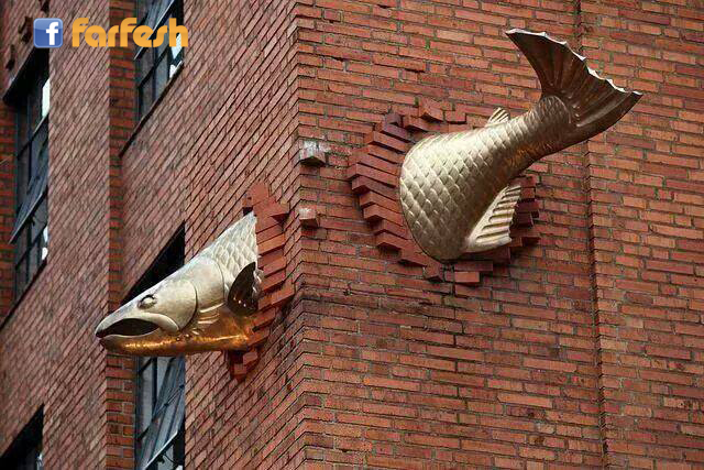 �� �����