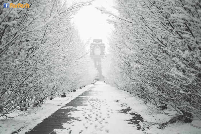 ���� ����