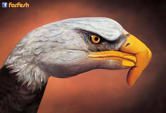 ����� ����� ������� ������ ��������