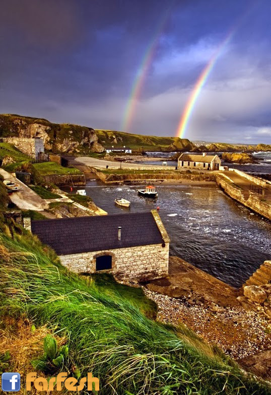 ���� ������ �����