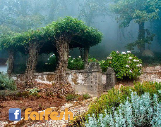 ������� ������� �����ǡ ��������