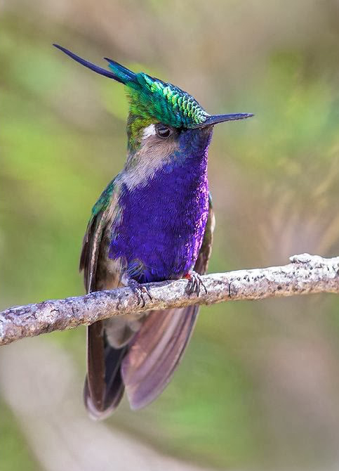 ��� �� ������ ������