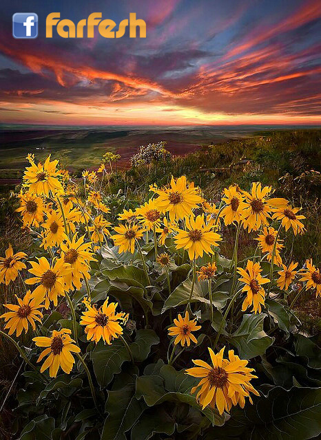 ���� ������ �� �� ����