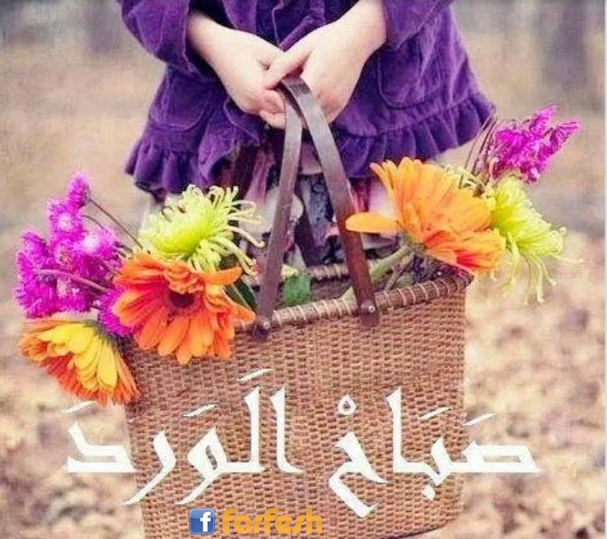 ���� ����� 