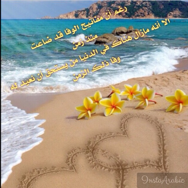 ������ ���� �� ���� ��� ������