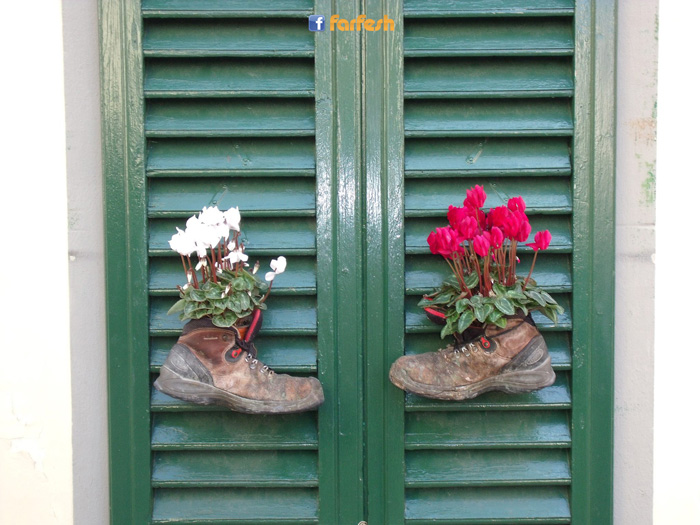 ��� ���� �� ��� �������