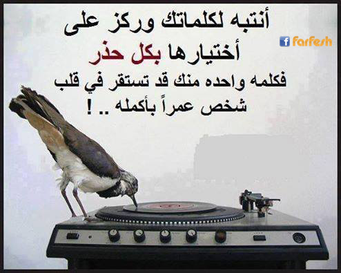 ������ ��������...�� ���� ������ ��� �����.. ������� ����� ����