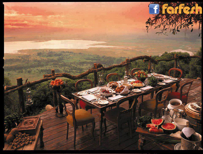 ���� ����� ����� ����