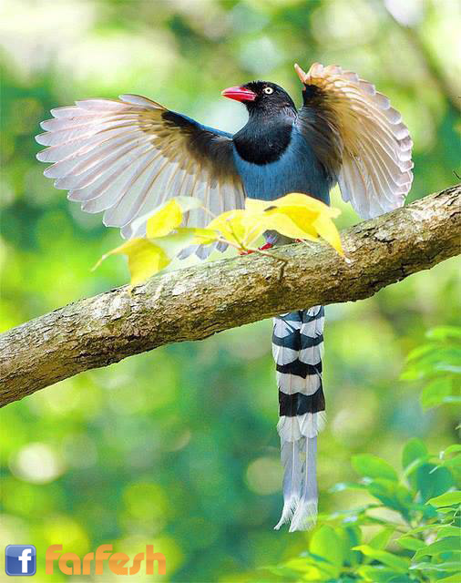 ���� �����  :-)