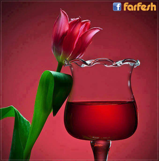 �� ����� �����