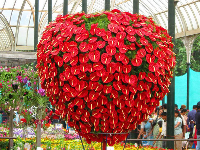 ���� �� ������ ��� ��� ��� ����� ����