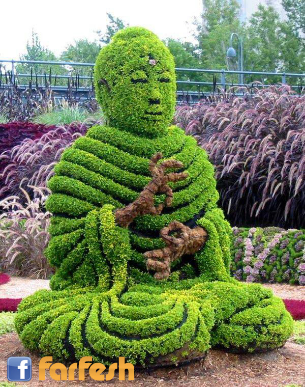 �� ���� ���� �������