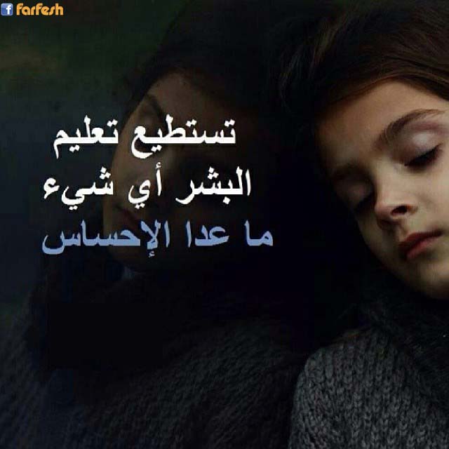 ������ ����� ���� �� ��� �� ��� �������