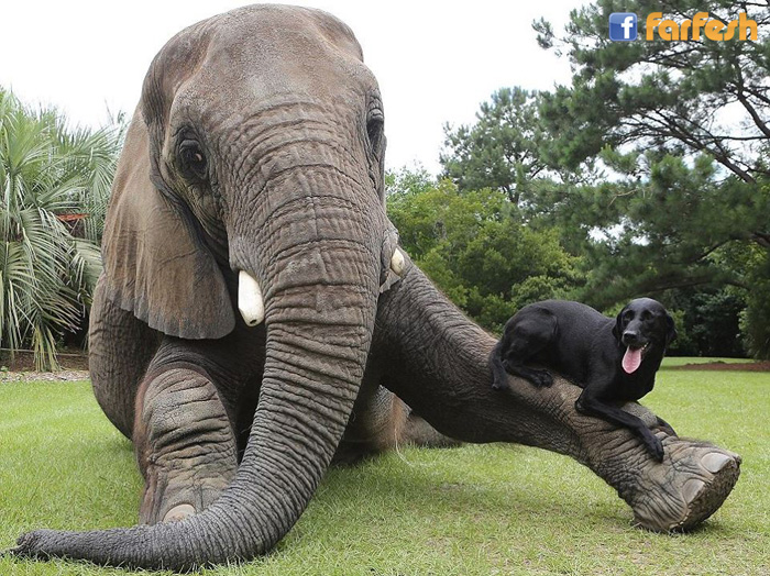 ��� ��������� �� �����