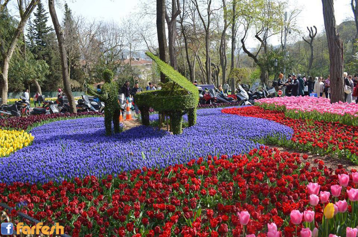 ���� ���� �� ����