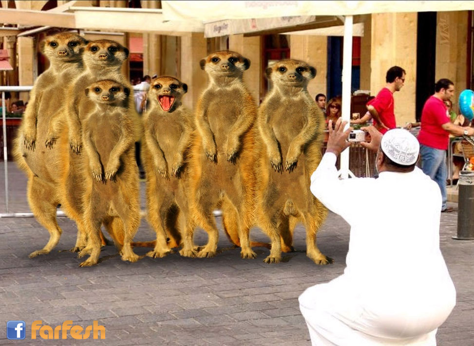 ���� ����� ������