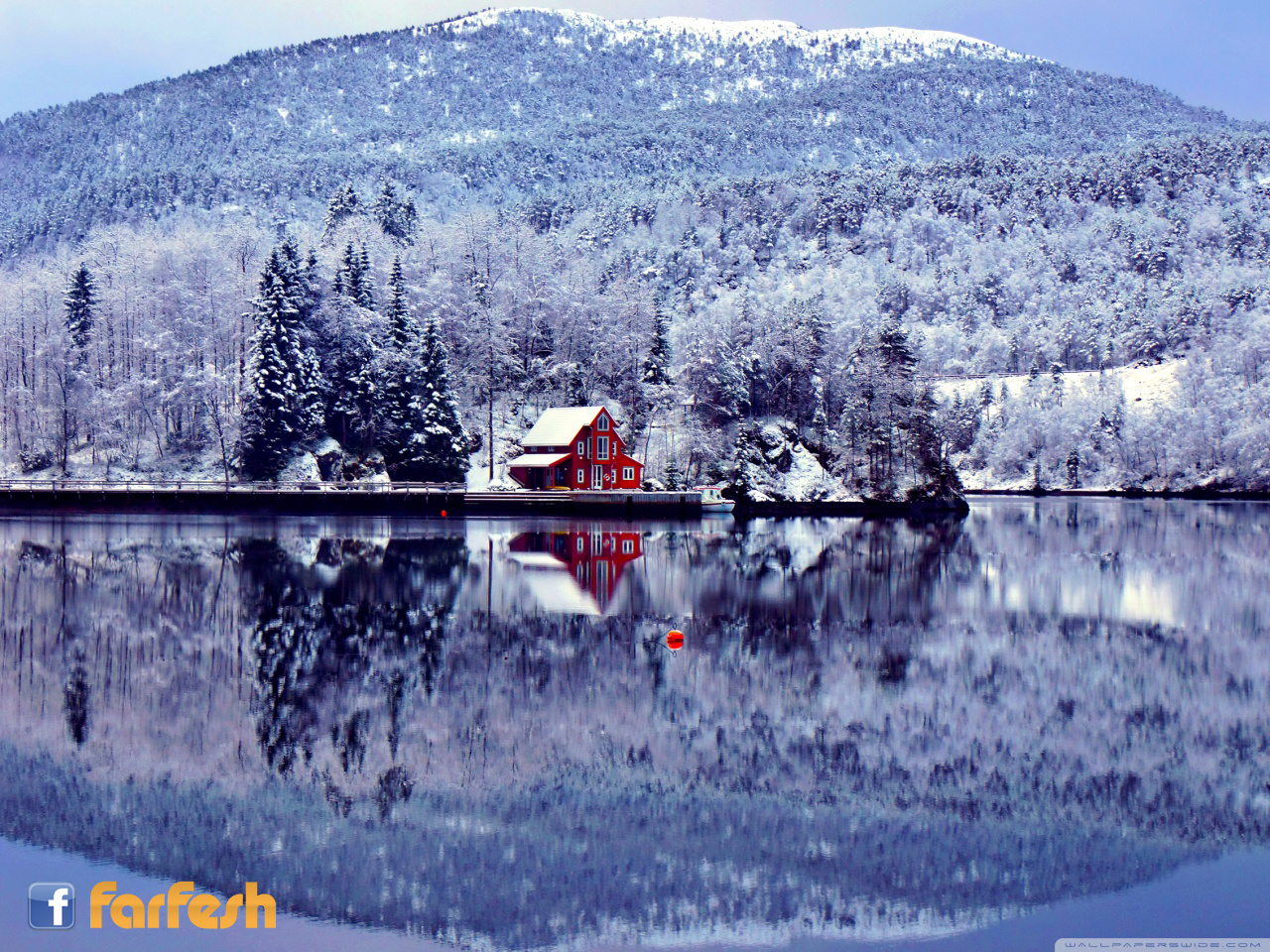 ���� ����� 