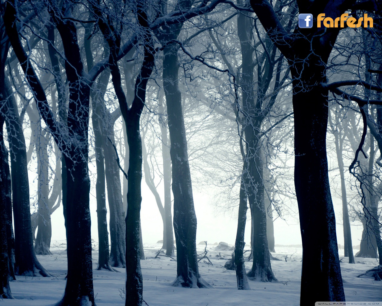 ����� ������ ���� ����� ��� ������ ���