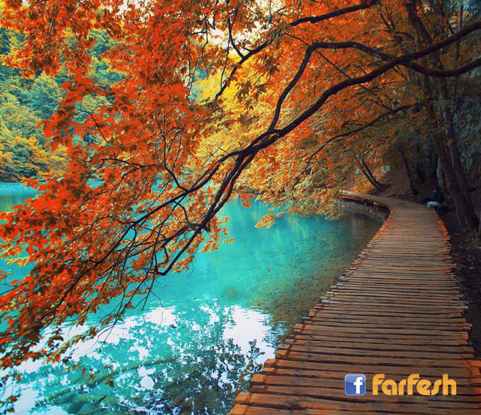 �� ������ ��� ����� ������ ������ ������ ���� ��� �����