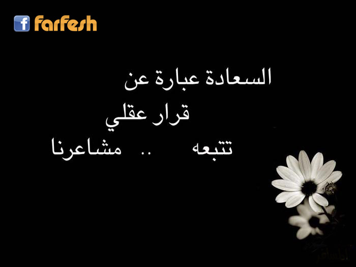 ������� ����� �� ���� ����  ����� �������