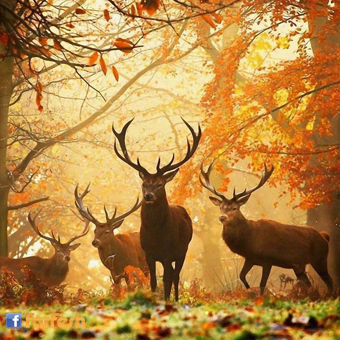 �� ���� �����