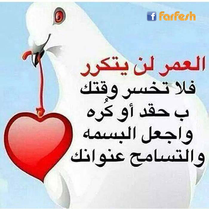 ��� ����