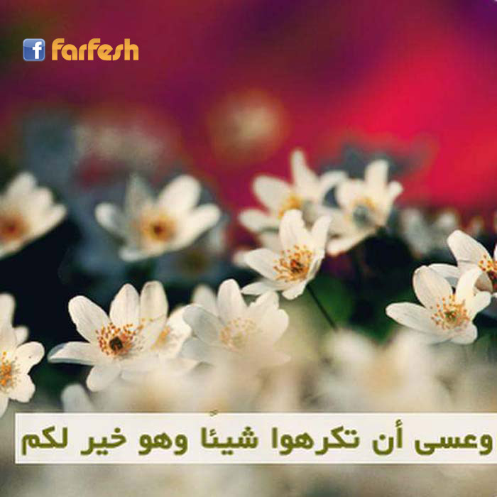 ���� �� ������  ��� ���  ��� ��� 