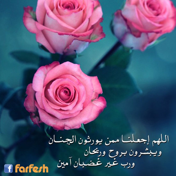 �� �� ���� �� ������� 