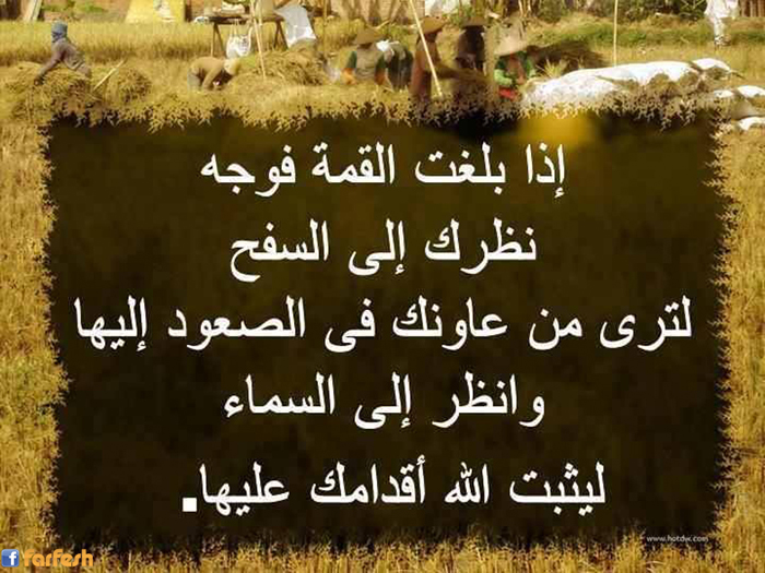 ��� ���� ����� ���� ���� ��� ����� ���� ...