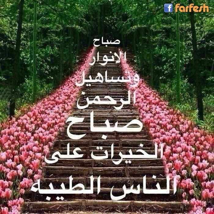 ���� �������