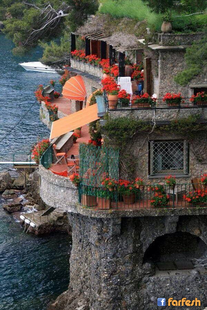 �������� ���� ������� �������