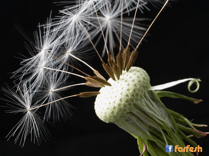 ���� �����