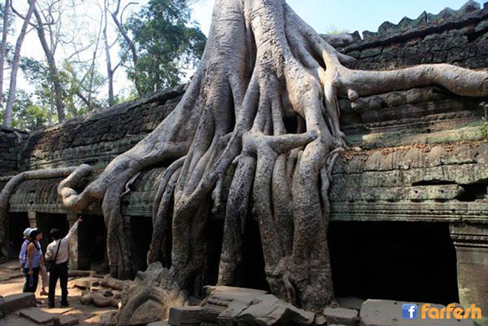 ���� ���� �����