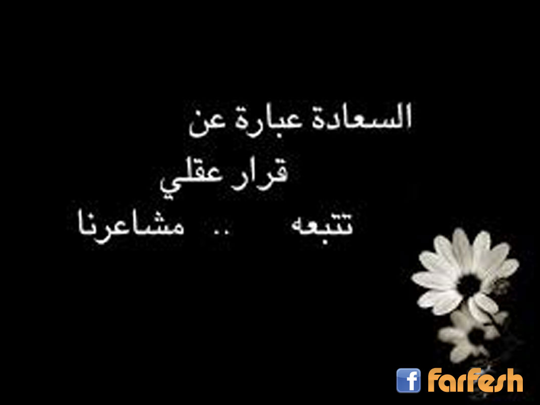 ������� ����� �� ���� ���� ����� �������