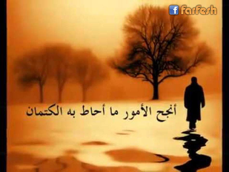 ���� ������ �� ���� ��� �������