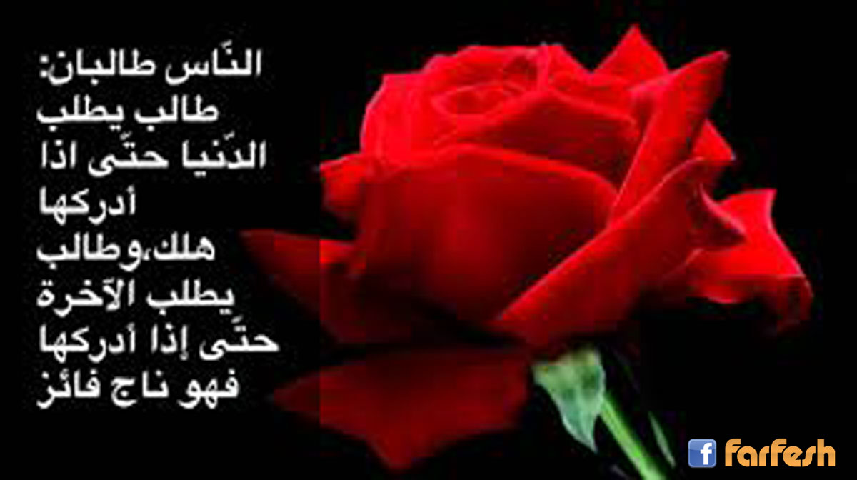 ����� ������...