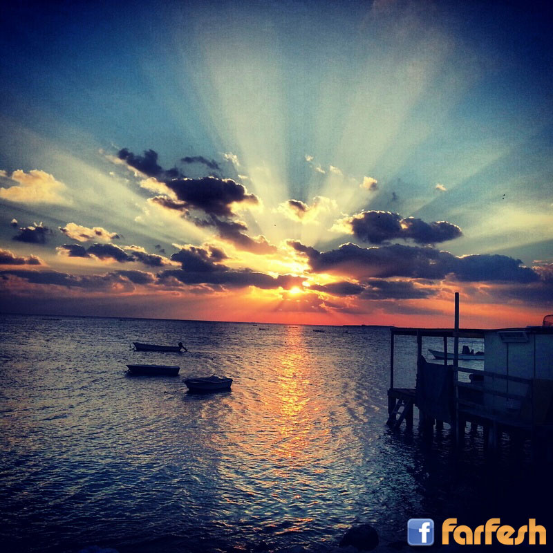 ���� ����� �� ���� ������� ����� ? ���� ���