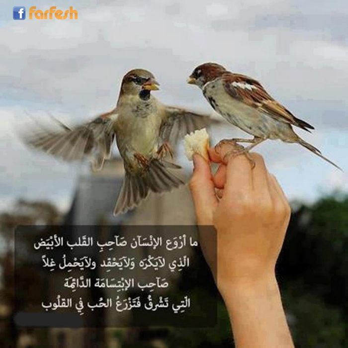 �� ���� ������� ���� ����� ������