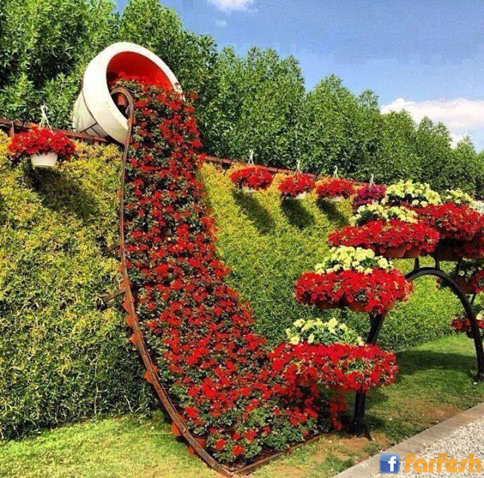 ���� ��� ���� ������