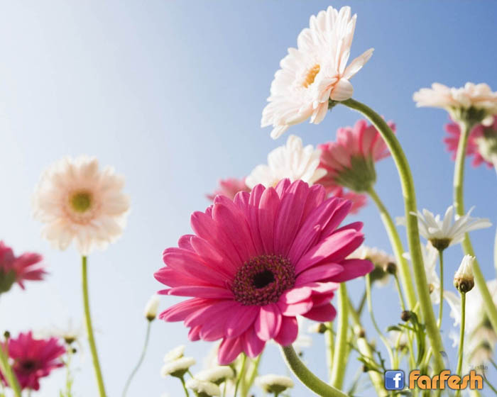 ���� ������ ����� ����� ������� ����� ��� ��� �� �������