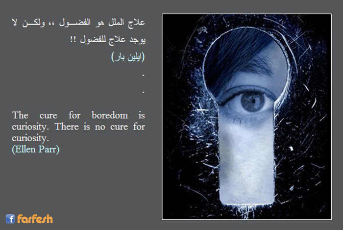 ���� ����� �� ������ ���� �� ���� ���� ������