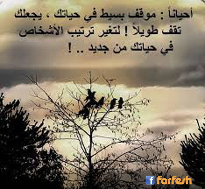 ���� ���� �� ����� ���� ������