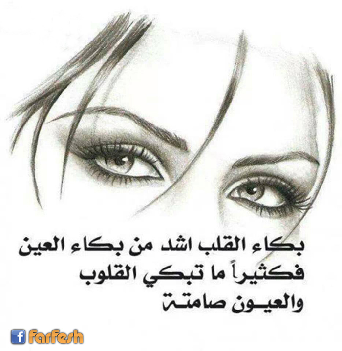 ���� ����� ��� �� ���� �����