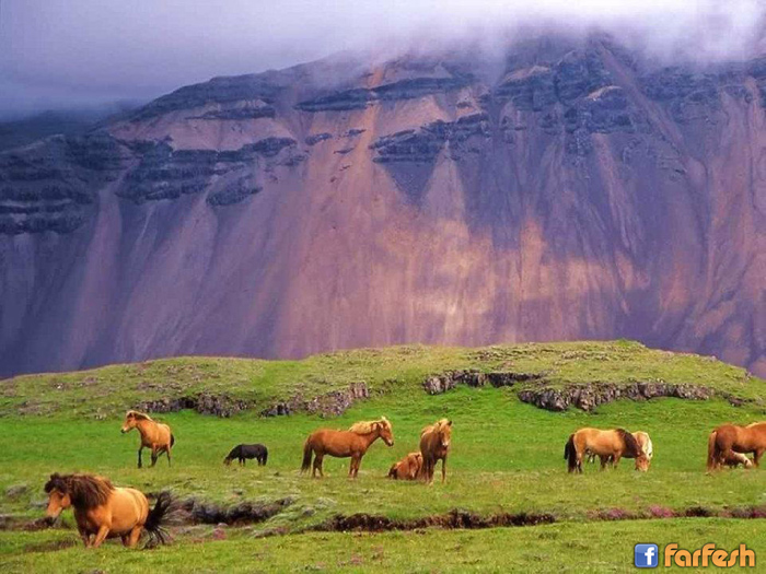 ��� ������ �� ������� ���� ����� ��� ������ ���� �����