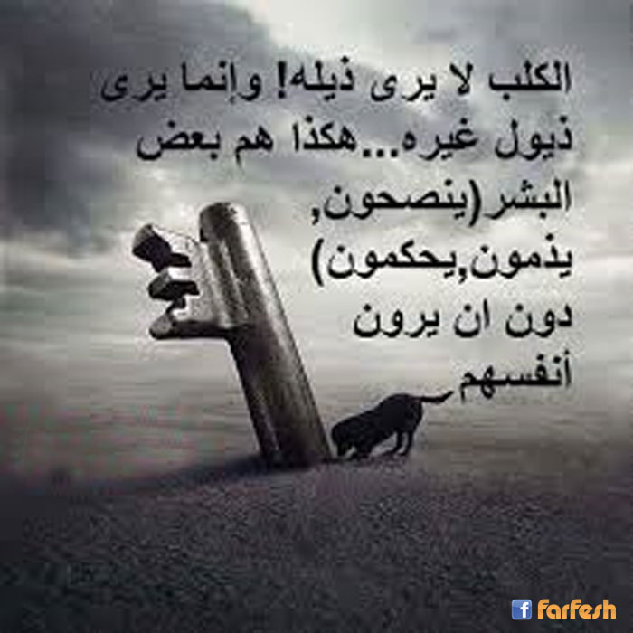 ����� �� ��� ���� ����� ��� ���� ����