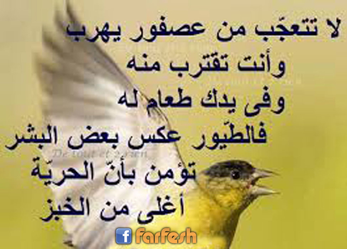 �� ����� �� ����� ���� ���� ����� ��� 