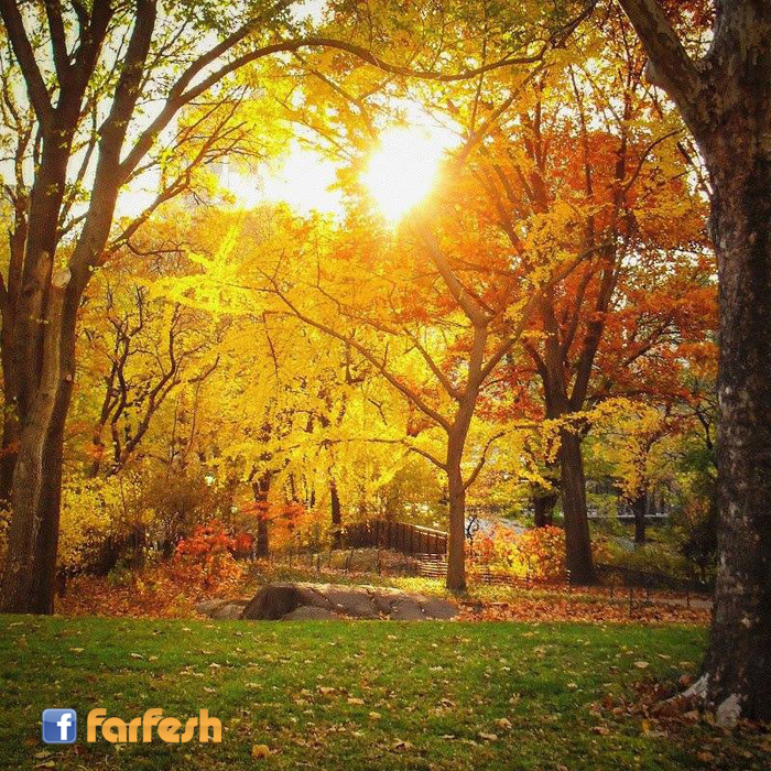 ���� ��� ��� ������