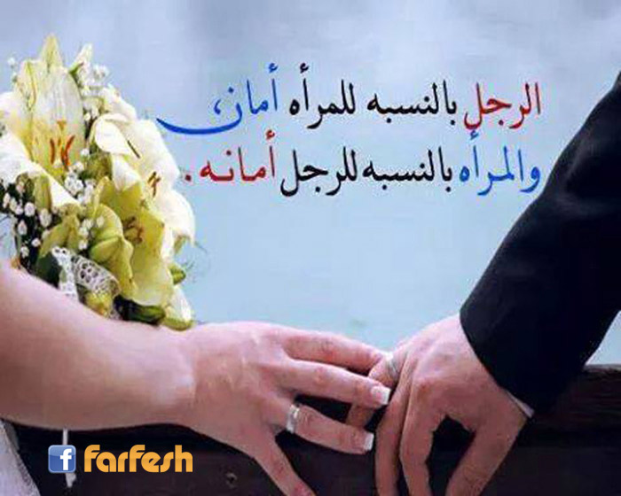 ������ ������ ������ �����