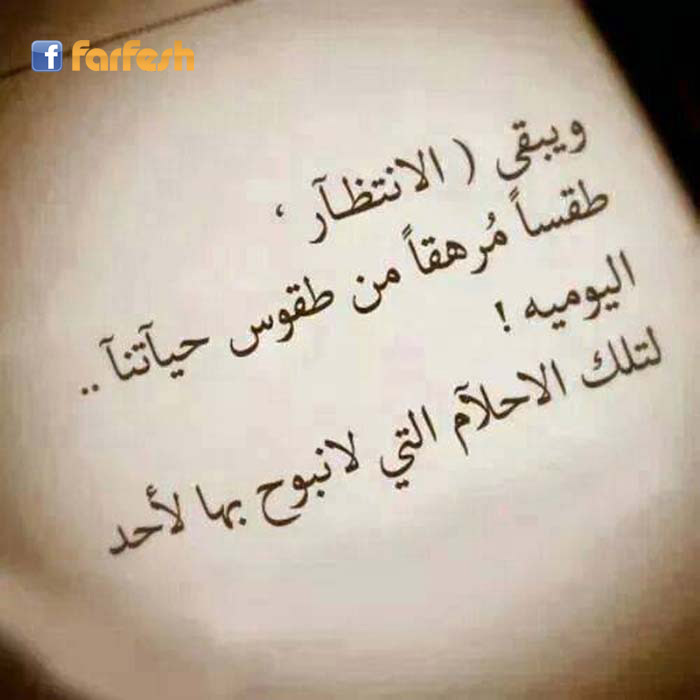 �������� ���� .........